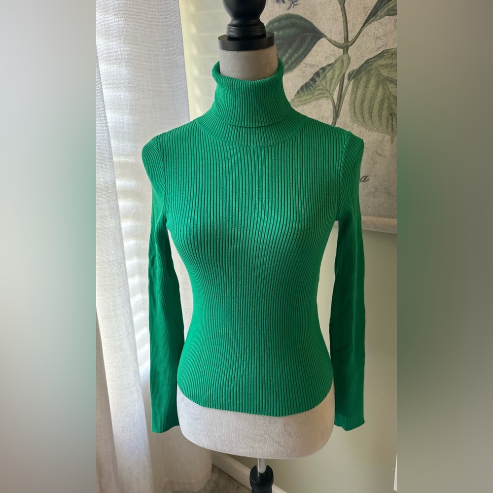 Sophisticated H&M green turtle neck!